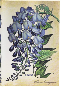 PAPERBLANKS GLICINA EN FLOR MINI LINEAS