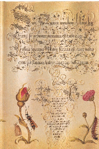 PAPERBLANKS FLEMISH ROSE MIRA BOTANICA MIDI LINEAS