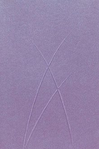 PAPERBLANKS PURO PLUM A5 LINED